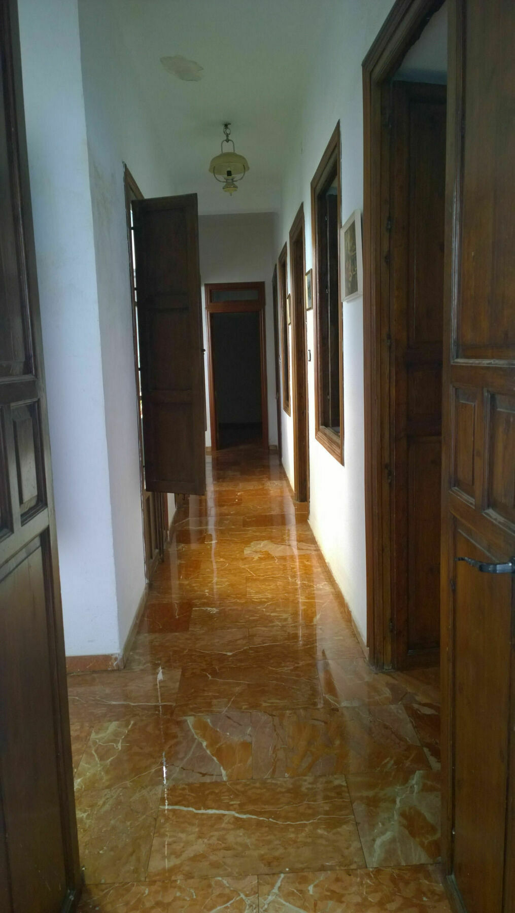فندق Casa Patio De La Vega قرطبة المظهر الخارجي الصورة
